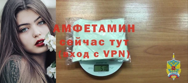мдпв Осташков