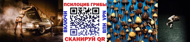 Псилоцибиновые грибы MAGIC MUSHROOMS  как найти закладки  Тутаев 