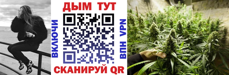 Бошки Шишки план Тутаев